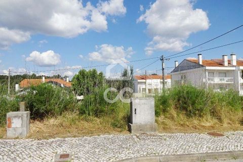 Terra a Abraveses, Viseu, Abraveses - € 40.000 | Ref: 353/T/01106 - foto 3