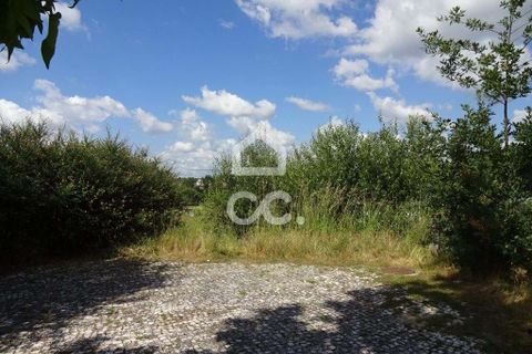 Terra a Abraveses, Viseu, Abraveses - € 120.000 | Ref: 353/T/01110 - foto 2