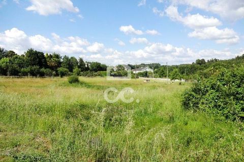 Terra a Abraveses, Viseu, Abraveses - € 120.000 | Ref: 353/T/01110 - foto 3