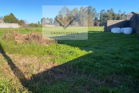 Helårsgrund i Seixezelo, Porto, Seixezelo - € 135.000 | Ref: 12 P/23 R.G - foto 7
