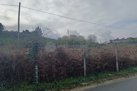 Terra a Aves, Porto, Aves - € 497.200 | Ref: DP-61439 - foto 7