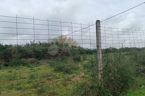 Terra a Aves, Porto, Aves - € 497.200 | Ref: DP-61439 - foto 14