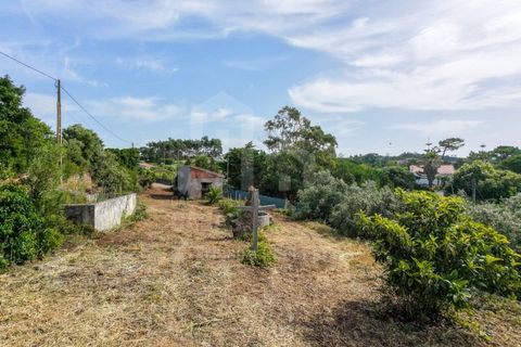 Helårsgrund i Ericeira, Lisbon, Ericeira - € 250.000 | Ref: V20354 - foto 3