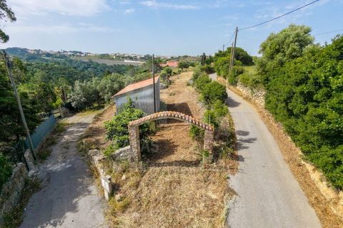 Helårsgrund i Ericeira, Lisbon, Ericeira - € 250.000 | Ref: V20354 - foto 6