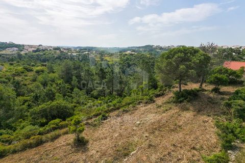 Helårsgrund i Ericeira, Lisbon, Ericeira - € 250.000 | Ref: V20354 - foto 8