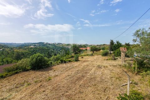 Helårsgrund i Ericeira, Lisbon, Ericeira - € 250.000 | Ref: V20354 - foto 10