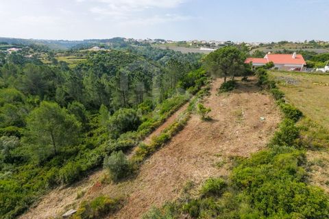 Helårsgrund i Ericeira, Lisbon, Ericeira - € 250.000 | Ref: V20354 - foto 14
