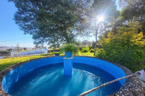 Farm i Vila Vicosa, Evora, Vila Vicosa - € 330.000 | Ref: JG2101 - foto 1