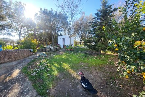 Farm i Vila Vicosa, Evora, Vila Vicosa - € 330.000 | Ref: JG2101 - foto 17