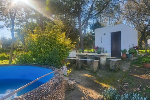 Farm i Vila Vicosa, Evora, Vila Vicosa - € 330.000 | Ref: JG2101 - foto 2
