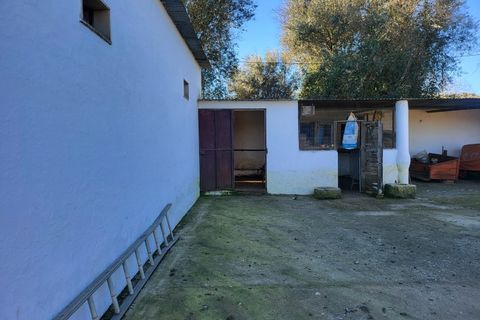 Farm i Vila Vicosa, Evora, Vila Vicosa - € 330.000 | Ref: JG2101 - foto 20