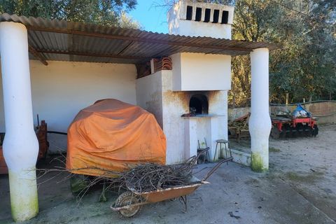 Farm i Vila Vicosa, Evora, Vila Vicosa - € 330.000 | Ref: JG2101 - foto 21