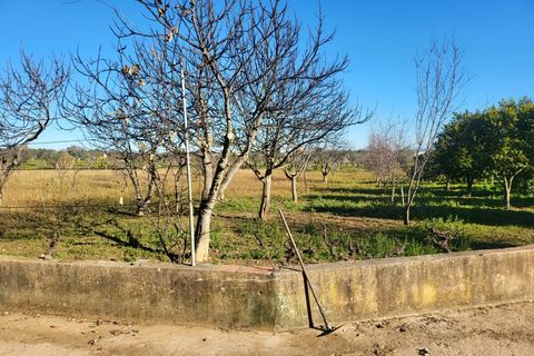 Farm i Vila Vicosa, Evora, Vila Vicosa - € 330.000 | Ref: JG2101 - foto 22