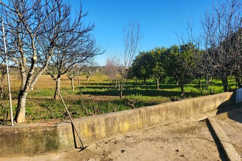 Farm i Vila Vicosa, Evora, Vila Vicosa - € 330.000 | Ref: JG2101 - foto 23