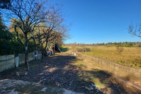 Farm i Vila Vicosa, Evora, Vila Vicosa - € 330.000 | Ref: JG2101 - foto 24