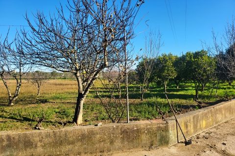 Farm i Vila Vicosa, Evora, Vila Vicosa - € 330.000 | Ref: JG2101 - foto 26