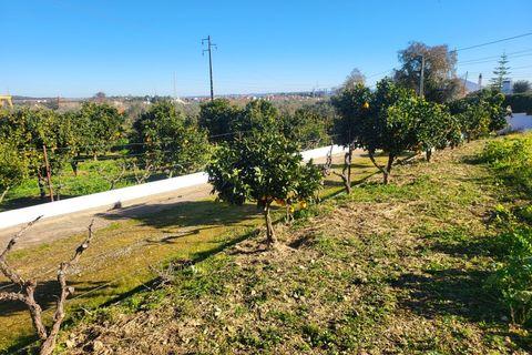 Farm i Vila Vicosa, Evora, Vila Vicosa - € 330.000 | Ref: JG2101 - foto 28
