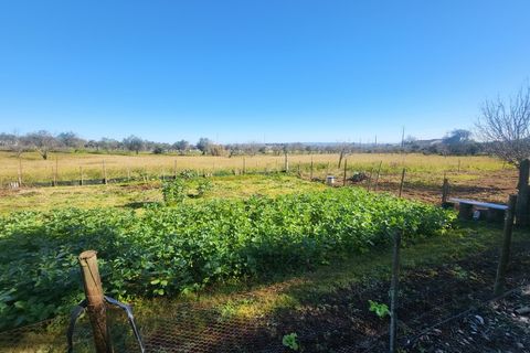 Farm i Vila Vicosa, Evora, Vila Vicosa - € 330.000 | Ref: JG2101 - foto 30