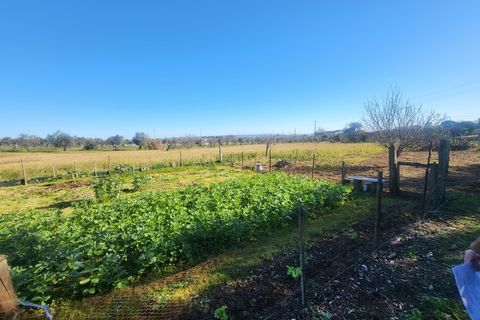 Farm i Vila Vicosa, Evora, Vila Vicosa - € 330.000 | Ref: JG2101 - foto 31