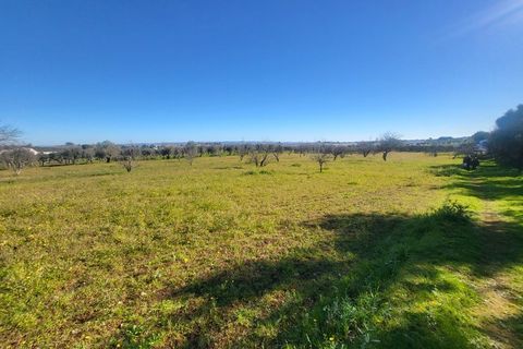 Farm i Vila Vicosa, Evora, Vila Vicosa - € 330.000 | Ref: JG2101 - foto 32