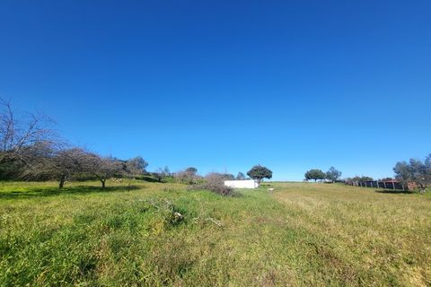 Farm i Vila Vicosa, Evora, Vila Vicosa - € 330.000 | Ref: JG2101 - foto 34