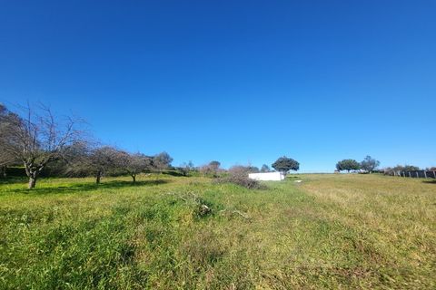 Farm i Vila Vicosa, Evora, Vila Vicosa - € 330.000 | Ref: JG2101 - foto 35