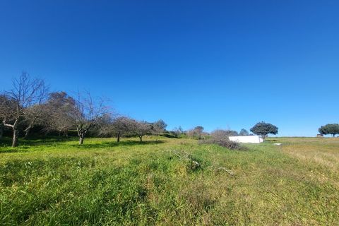 Farm i Vila Vicosa, Evora, Vila Vicosa - € 330.000 | Ref: JG2101 - foto 36