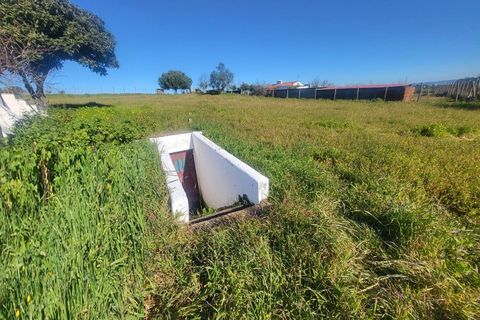 Farm i Vila Vicosa, Evora, Vila Vicosa - € 330.000 | Ref: JG2101 - foto 37