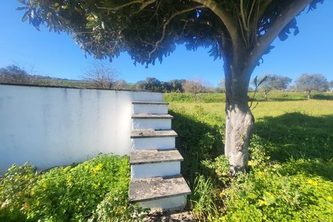Farm i Vila Vicosa, Evora, Vila Vicosa - € 330.000 | Ref: JG2101 - foto 39