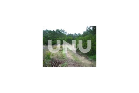 Terra a Murtosa, Aveiro, Murtosa - € 3.000.000 | Ref: UNU.I.1172.19351 - foto 3