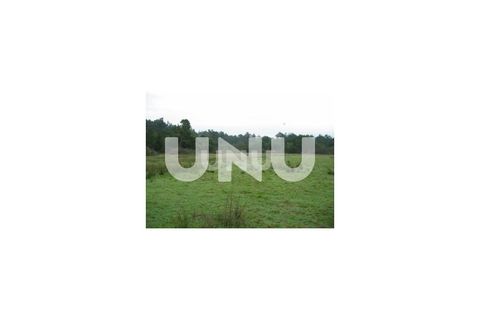 Terra a Murtosa, Aveiro, Murtosa - € 3.000.000 | Ref: UNU.I.1172.19351 - foto 4