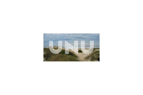 Terra a Murtosa, Aveiro, Murtosa - € 3.000.000 | Ref: UNU.I.1172.19351 - foto 6