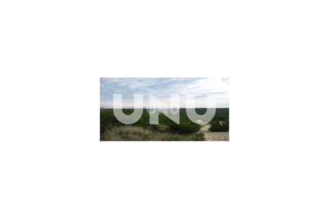 Terra a Murtosa, Aveiro, Murtosa - € 3.000.000 | Ref: UNU.I.1172.19351 - foto 7