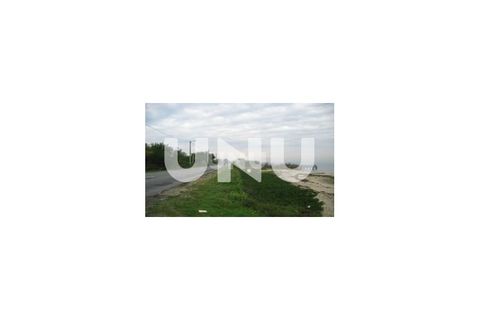 Terra a Murtosa, Aveiro, Murtosa - € 3.000.000 | Ref: UNU.I.1172.19351 - foto 8