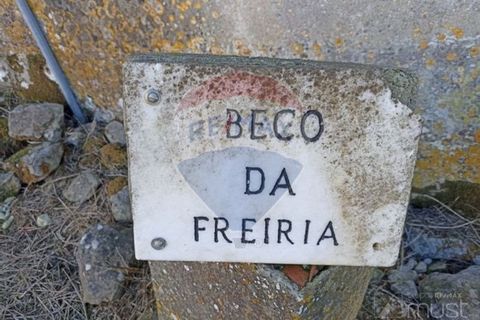 Helårsgrund i Mafra, Lisbon, Mafra - € 37.500 | Ref: 124151172-8 - foto 4