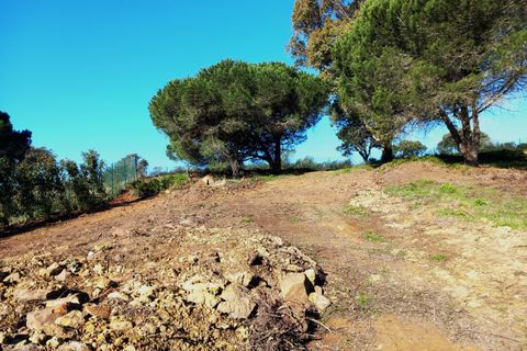 Helårsgrund i Sotogrande, Cadiz, Sotogrande - € 855.000 | Ref: 428-01230P - foto 9