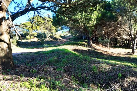 Helårsgrund i Sotogrande, Cadiz, Sotogrande - € 855.000 | Ref: 428-01230P - foto 10