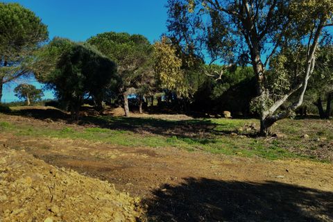 Helårsgrund i Sotogrande, Cadiz, Sotogrande - € 855.000 | Ref: 428-01230P - foto 12