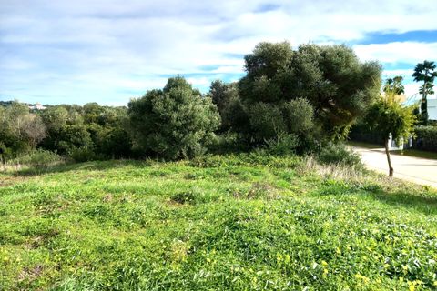 Helårsgrund i Sotogrande, Cadiz, Sotogrande - € 1.208.000 | Ref: 428-01231P - foto 3