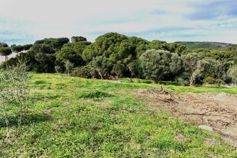 Helårsgrund i Sotogrande, Cadiz, Sotogrande - € 1.208.000 | Ref: 428-01231P - foto 4