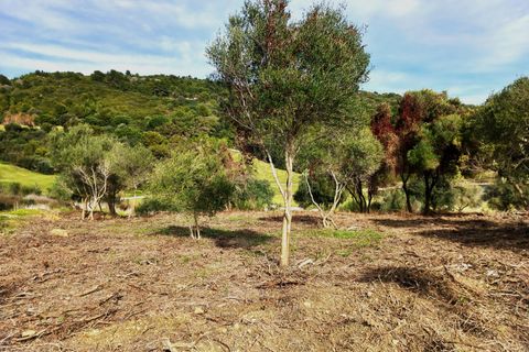 Helårsgrund i Sotogrande, Cadiz, Sotogrande - € 1.208.000 | Ref: 428-01231P - foto 10