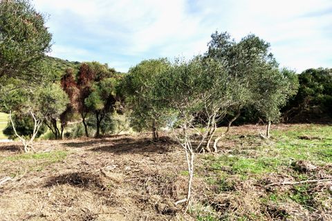 Helårsgrund i Sotogrande, Cadiz, Sotogrande - € 1.208.000 | Ref: 428-01231P - foto 12