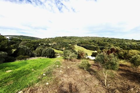 Helårsgrund i Sotogrande, Cadiz, Sotogrande - € 1.208.000 | Ref: 428-01231P - foto 14