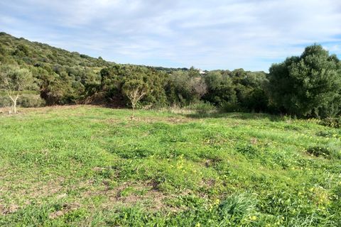 Helårsgrund i Sotogrande, Cadiz, Sotogrande - € 1.208.000 | Ref: 428-01231P - foto 16