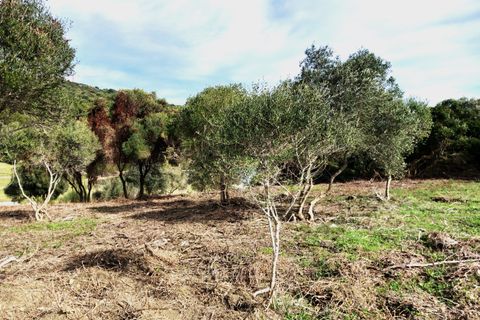 Helårsgrund i Sotogrande, Cadiz, Sotogrande - € 1.208.000 | Ref: 428-01231P - foto 17