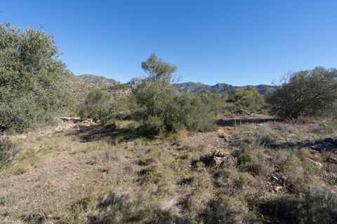 Finca i Tivenys, Tarragona, Tivenys - € 7.500 | Ref: 819 - foto 3