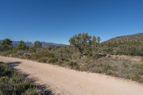 Finca i Tivenys, Tarragona, Tivenys - € 7.500 | Ref: 819 - foto 6