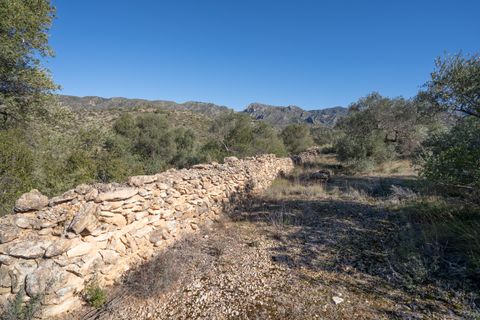 Finca i Tivenys, Tarragona, Tivenys - € 7.500 | Ref: 819 - foto 2