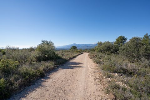 Finca i Tivenys, Tarragona, Tivenys - € 7.500 | Ref: 819 - foto 8