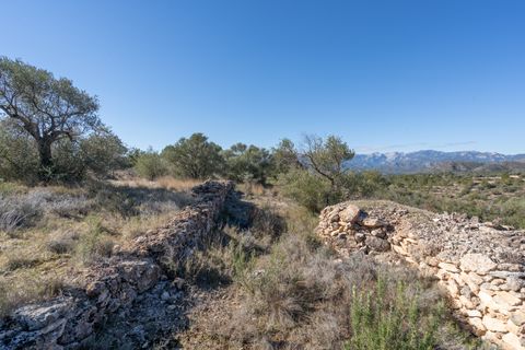 Finca i Tivenys, Tarragona, Tivenys - € 7.500 | Ref: 819 - foto 4